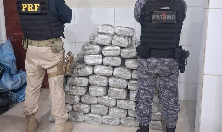 Ação conjunta da PRF em Rondônia e PMRO resulta na apreensão de mais de 180 kg de skunk em Cacoal