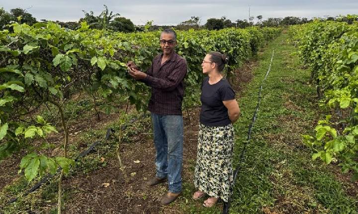Alero no Agro: emenda garante regularização fundiária e transforma a vida de produtores rurais em Vilhena