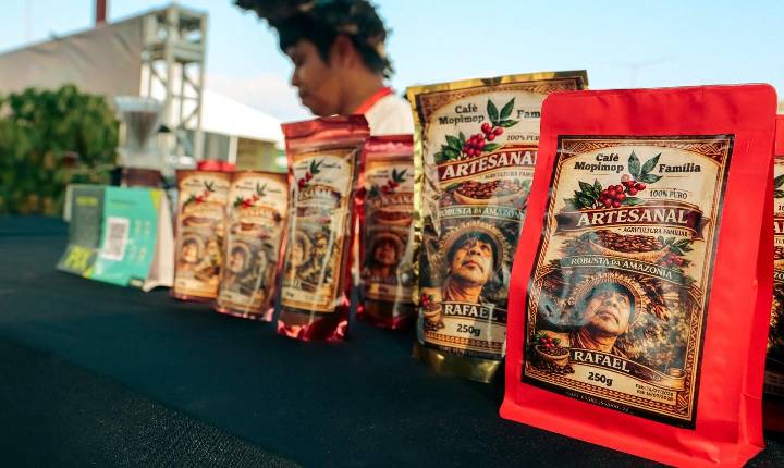 Café robusto da Amazônia ganha espaço e reconhecimento na 2° Edição da Agrotec