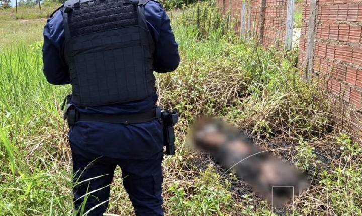 Corpo de homem é encontrado carbonizado