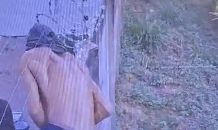 Criminosos invadem casa de policial, roubam e fazem família de refém