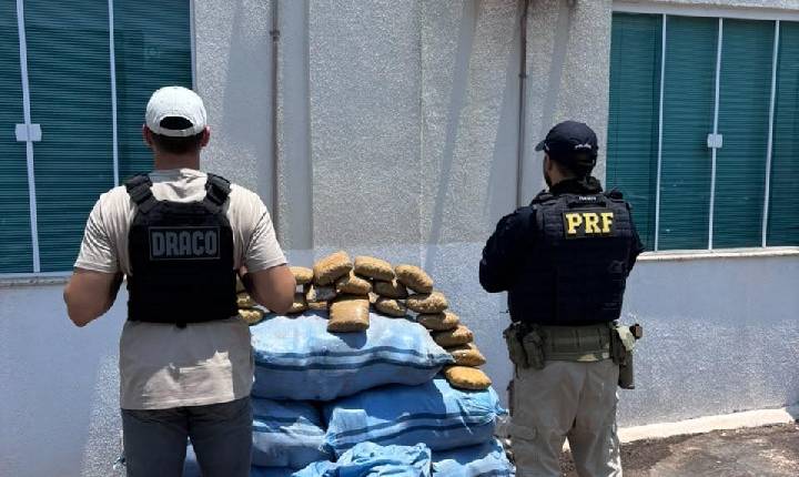 DRACO e PRF apreendem aproximadamente 182 kg de skunk após perseguição em Nova Brasilândia d’Oeste