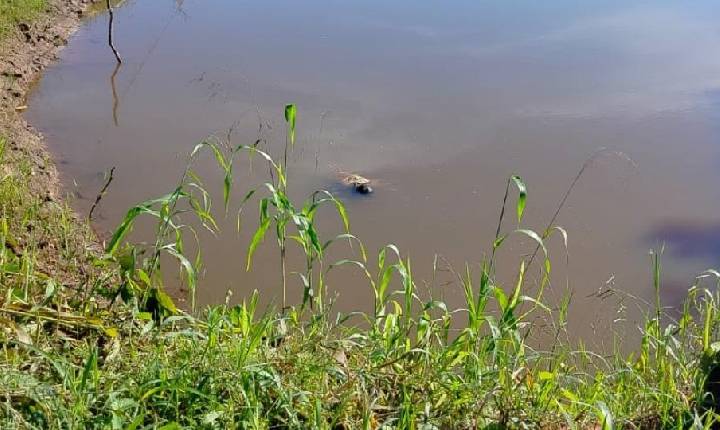 Em Rondônia: Homem é encontrado morto em rio