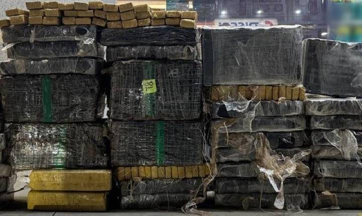 FICCO/PR apreende cerca de 700 kg de maconha