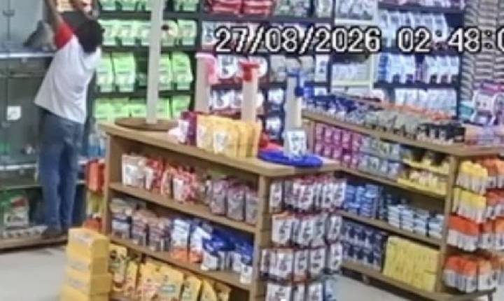 Homem furta cachorros em pet shop  da capital