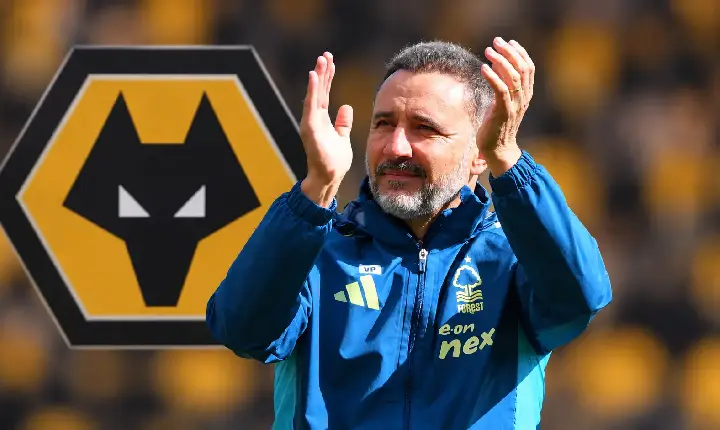 ‘Me jogou aos leões’: Destaque dos Wolves critica Vítor Pereira por início na Inglaterra