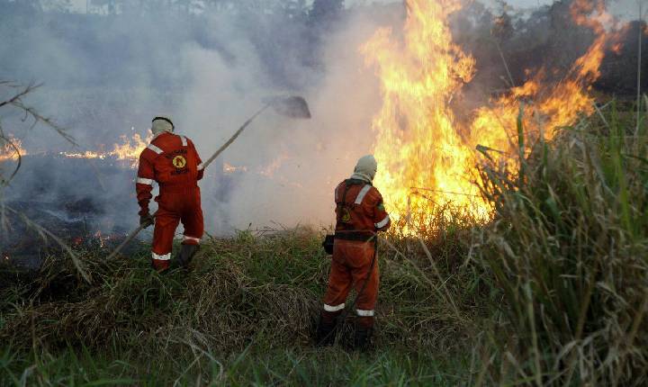 Parlamentares aprovam R$ 29,57 milhões para combate a incêndios em Rondônia