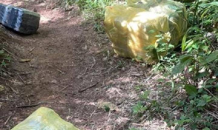 PF e PM/PR apreendem cerca de 100 kg de maconha no Paraná