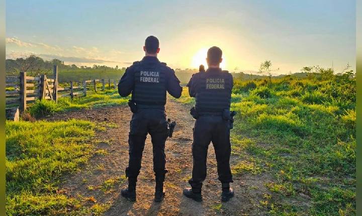 PF faz operação contra extração ilegal de madeira em área indígena