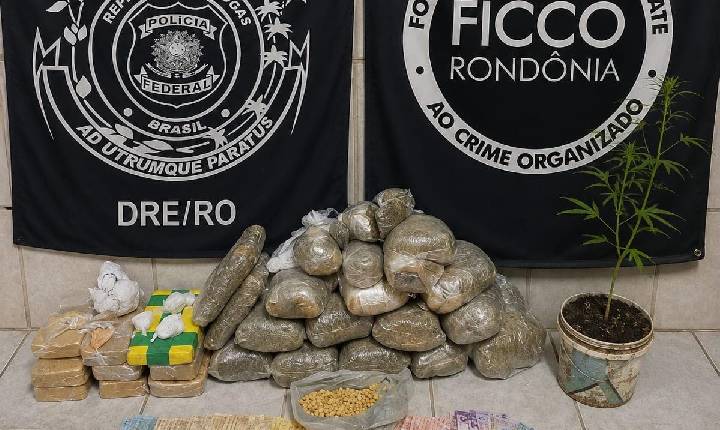 Policial Federal aprende drogas após investigação