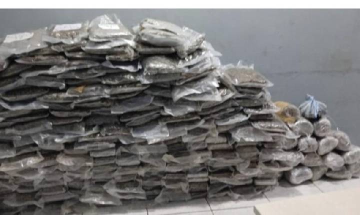 PRF apreende 200kg de maconha