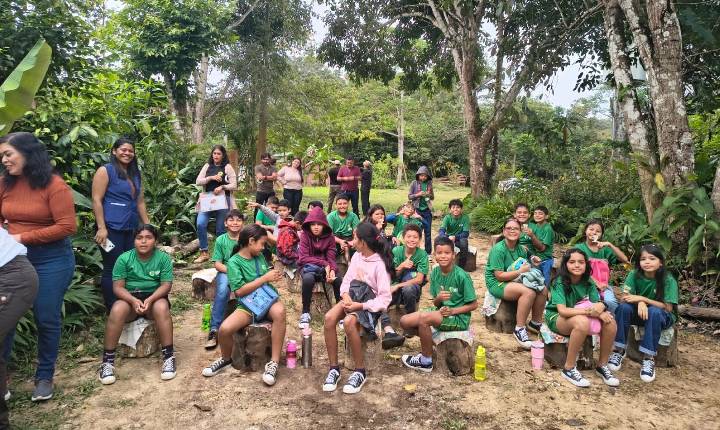 Projeto Abelhas Kids promove conscientização ambiental com crianças da rede municipal