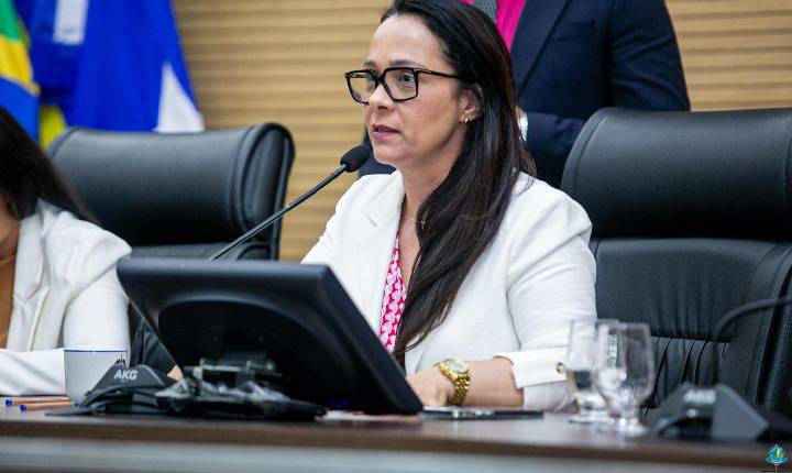 Rosangela Donadon solicita caminhonete para fortalecer atendimento aos produtores rurais de Guajará-Mirim