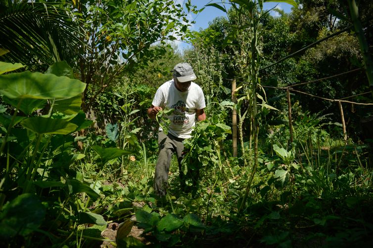 Edital seleciona 36 projetos para fortalecer agricultura familiar