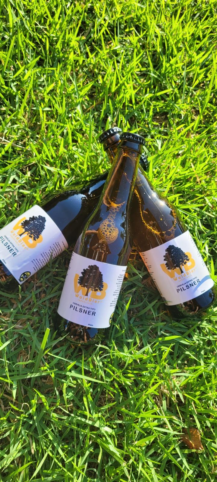 Rondônia pode sediar uma das cervejarias mais inovadoras do mundo, unindo blockchain, turismo e sustentabilidade