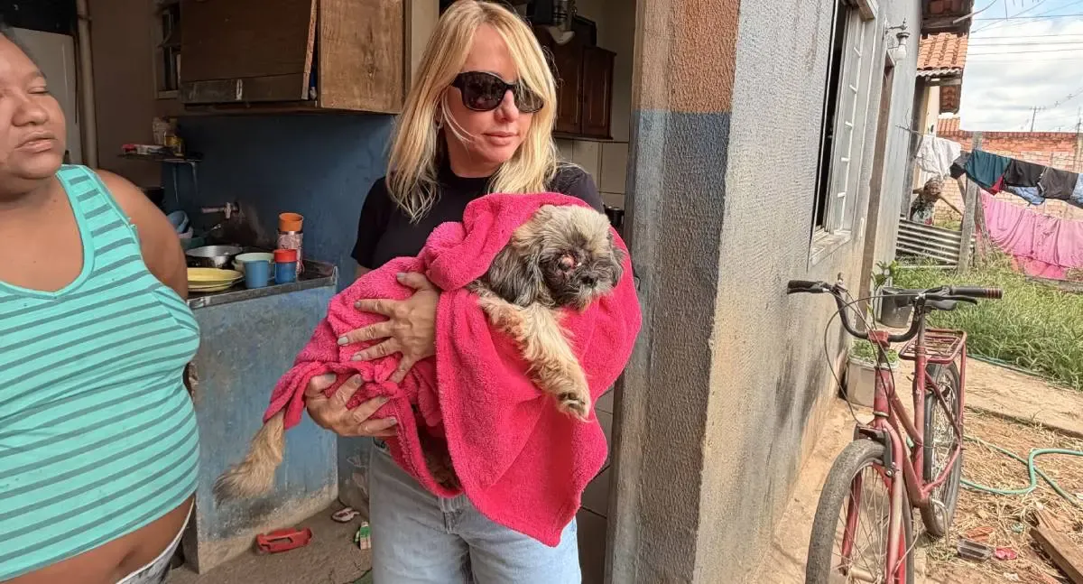 Deputada Ieda Chaves resgata filhote ferido e garante tratamento