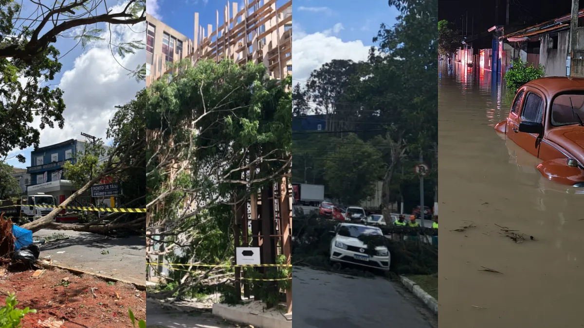 SP: 160 mil imóveis seguem sem luz; Enel diz que restabelecerá energia hoje