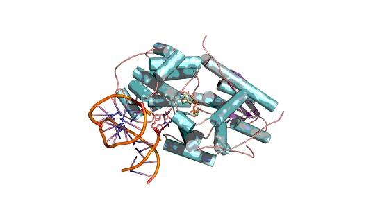 Biotecnologia impulsiona nova geração de dermocosméticos de reparação celular da Natura
