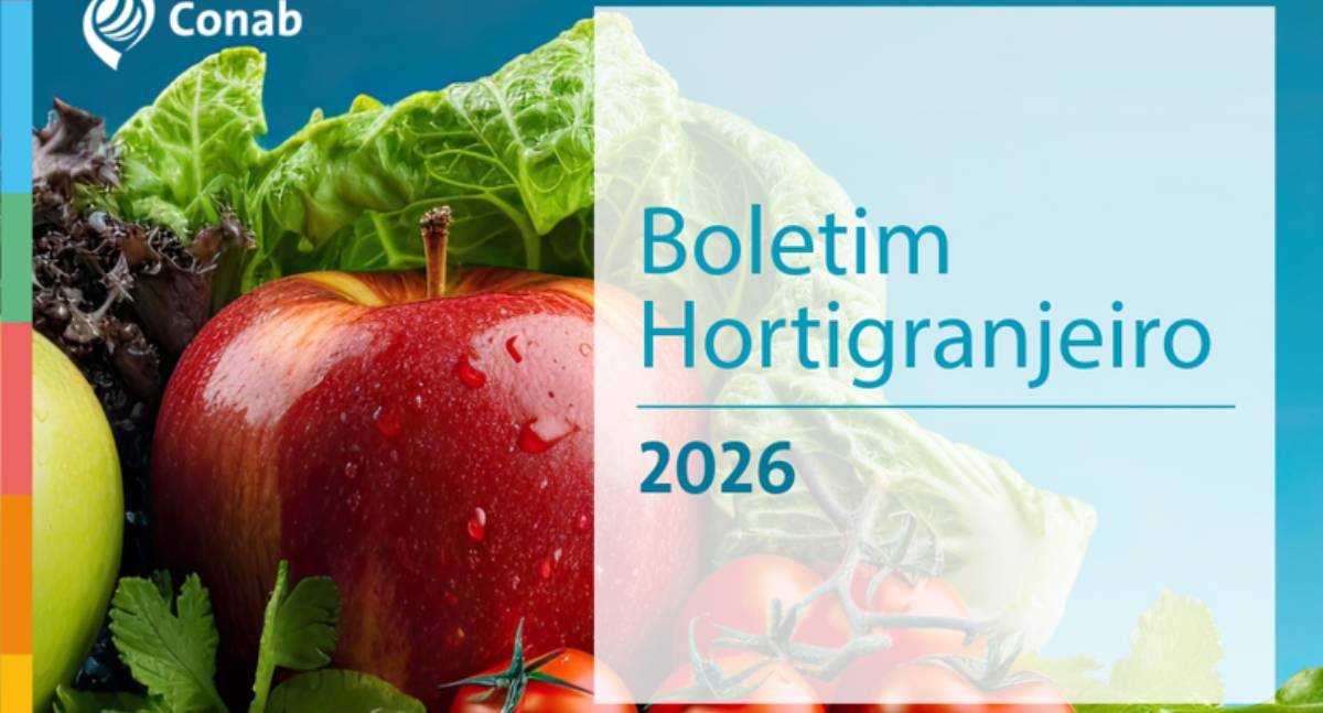 Conab divulga novo boletim com preços de frutas e hortaliças nesta quinta
