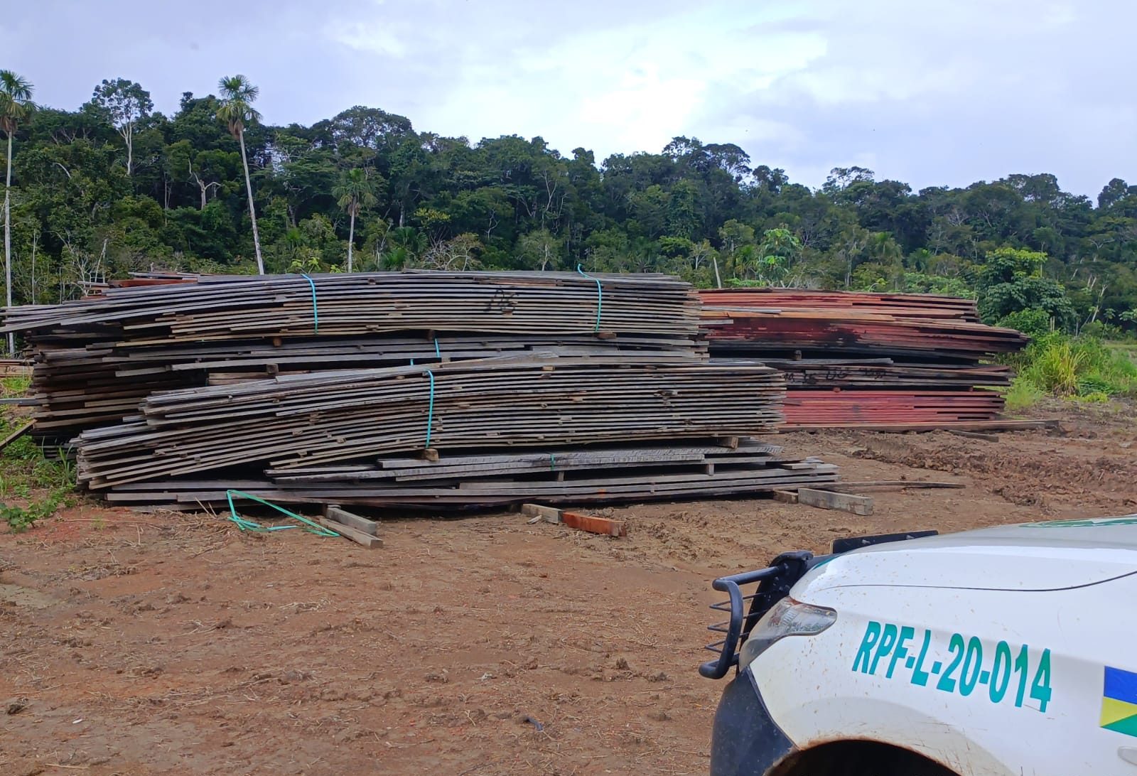 Centro de Ensino da PMRO – EDITAL Nº 1/2026/PM-CEPROJETOS REFERENTE A LEILÃO DE MADEIRAS