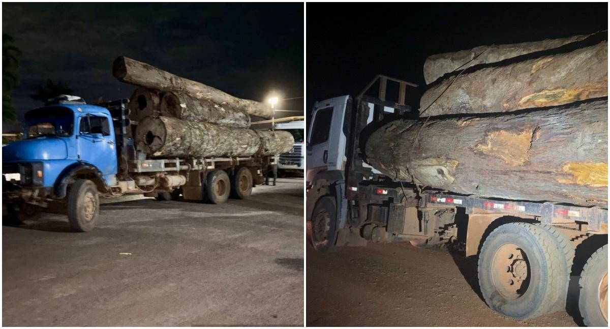 PM apreende mais de 47 m³ de madeira ilegal em RO