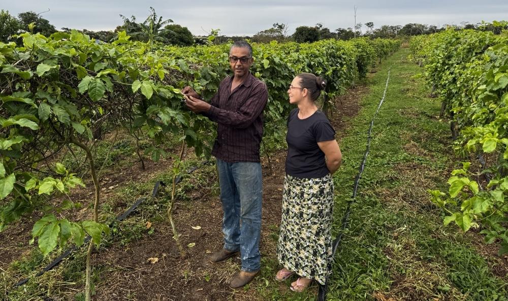 Alero no Agro: emenda garante regularização fundiária e transforma a vida de produtores rurais em Vilhena