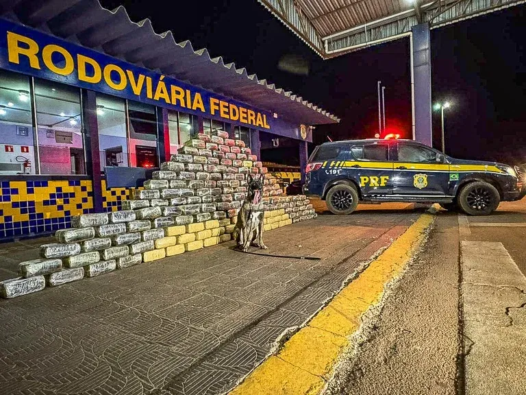 PRF apreende 540 kg de skunk em caminhão na BR-364