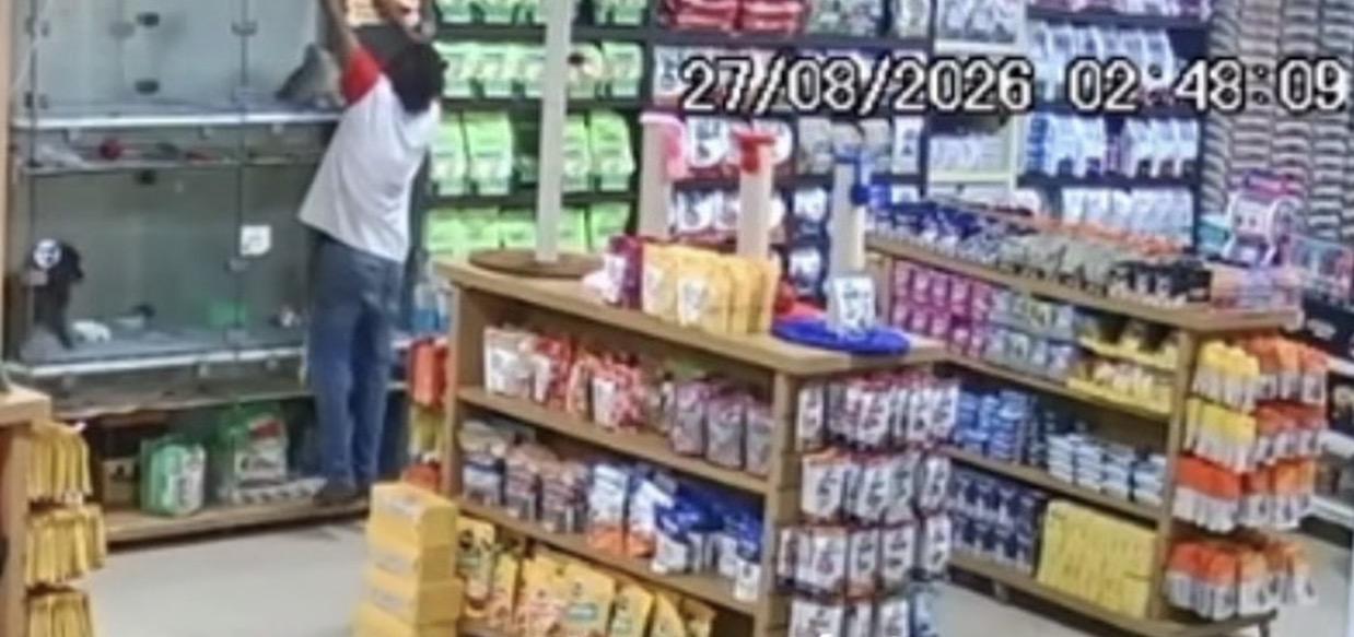 Homem furta cachorros em pet shop  da capital