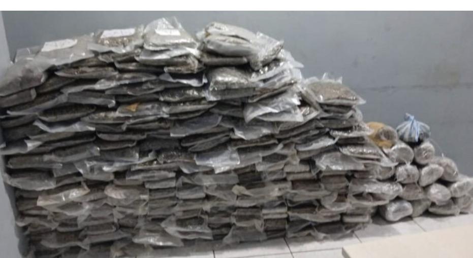 PRF apreende 200kg de maconha